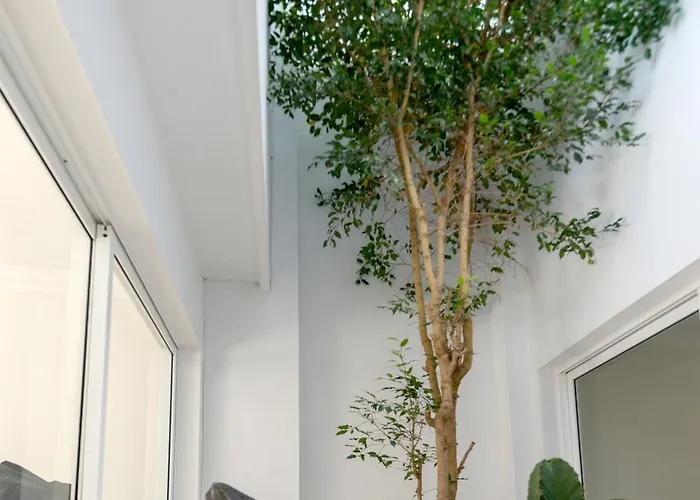 19 Duquesa Del Duque 3 Bedrooms Адехе