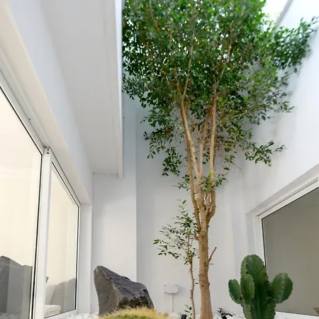 19 Duquesa Del Duque 3 Bedrooms Costa Adeje